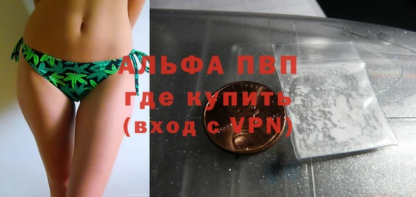 соль ск Дмитриев
