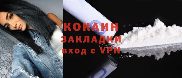 соль ск Дмитриев