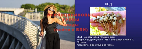 соль ск Дмитриев