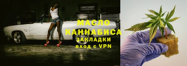 соль ск Дмитриев
