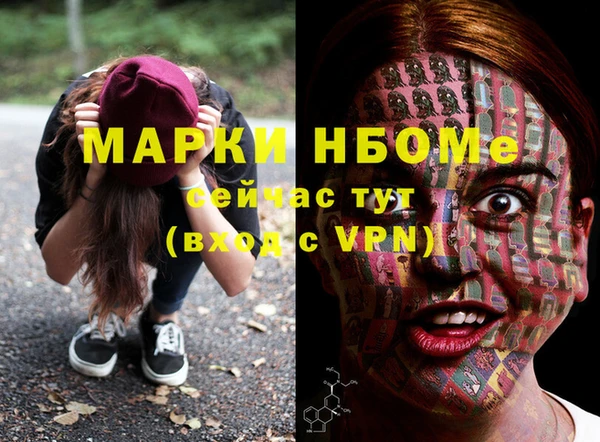 соль ск Дмитриев