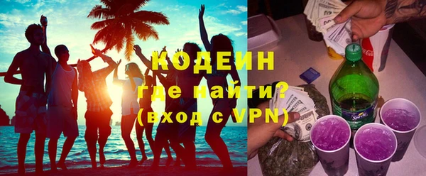 соль ск Дмитриев
