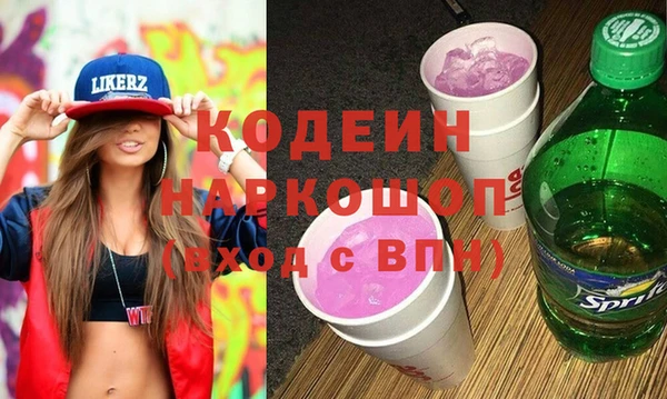 соль ск Дмитриев