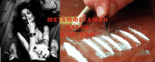 соль ск Дмитриев