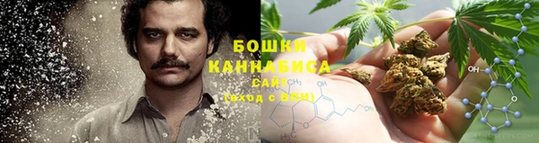 соль ск Дмитриев