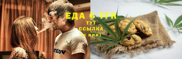 соль ск Дмитриев