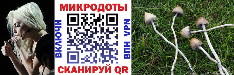 Купить закладки  Макушино  Псилоцибиновые грибы Psilocybine cubensis 